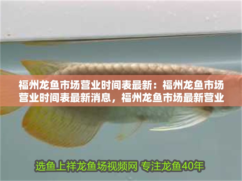 福州龍魚市場營業時間表最新：福州龍魚市場營業時間表最新消息，福州龍魚市場最新營業時間表公布