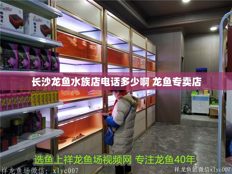 長沙龍魚水族店電話多少啊 龍魚專賣店