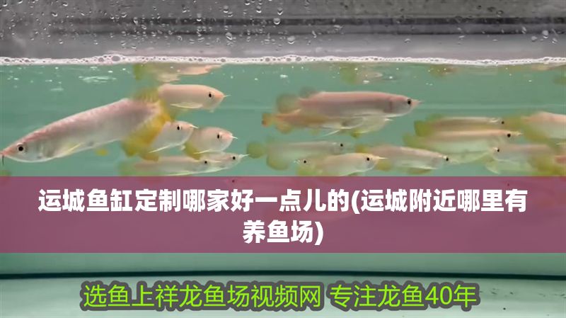 運城魚缸定制哪家好一點兒的(運城附近哪里有養(yǎng)魚場)