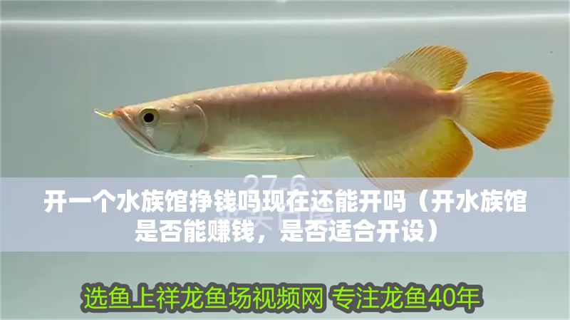 開一個水族館掙錢嗎現(xiàn)在還能開嗎（開水族館是否能賺錢，是否適合開設(shè)）