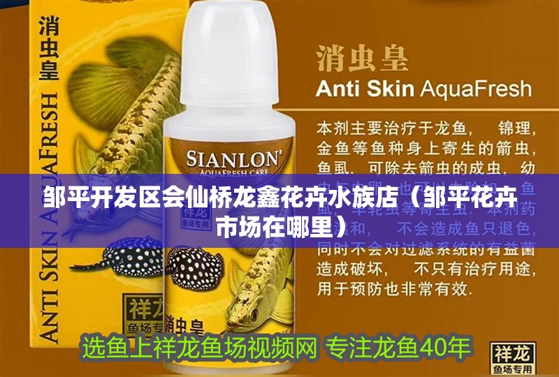 鄒平開(kāi)發(fā)區(qū)會(huì)仙橋龍?chǎng)位ɑ芩宓辏ㄠu平花卉市場(chǎng)在哪里）