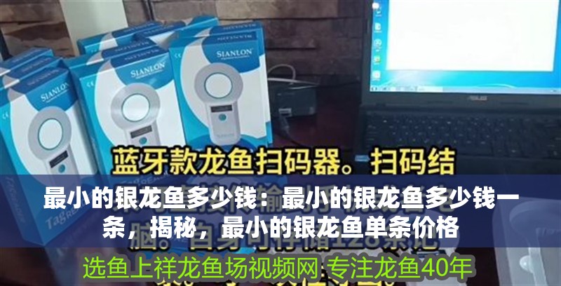 最小的銀龍魚多少錢：最小的銀龍魚多少錢一條，揭秘，最小的銀龍魚單條價格