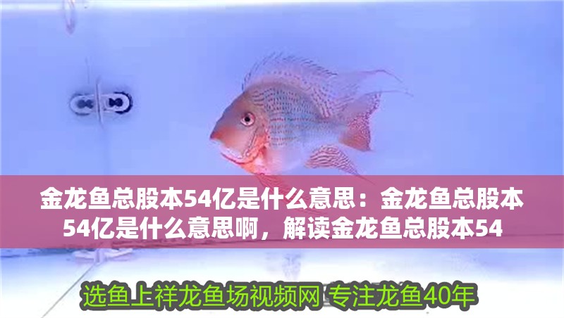 金龍魚總股本54億是什么意思：金龍魚總股本54億是什么意思啊，解讀金龍魚總股本54