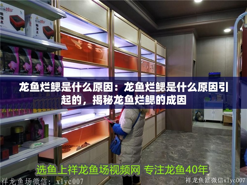 龍魚爛鰓是什么原因：龍魚爛鰓是什么原因引起的，揭秘龍魚爛鰓的成因