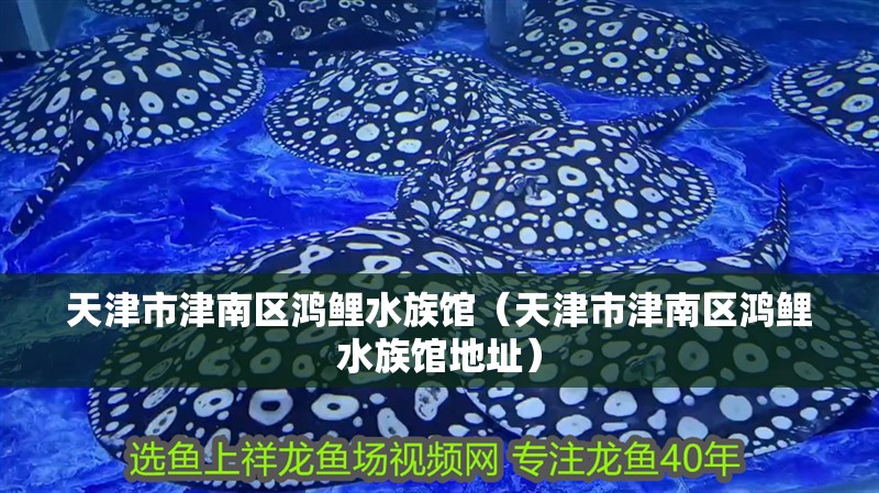 天津市津南區鴻鯉水族館（天津市津南區鴻鯉水族館地址）