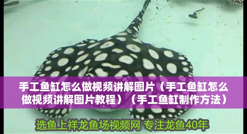 手工魚缸怎么做視頻講解圖片（手工魚缸怎么做視頻講解圖片教程）（手工魚缸制作方法）
