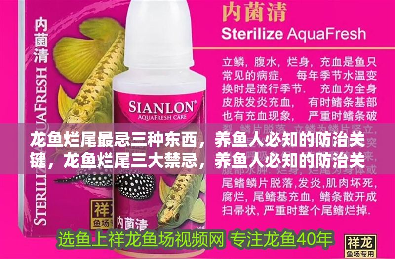 金龍魚繁殖箱內植物選擇技巧：金龍魚繁殖箱內植物的健康和繁殖效果，以下植物選擇技巧