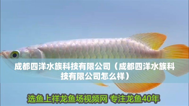 成都四洋水族科技有限公司（成都四洋水族科技有限公司怎么樣） 成都四洋水族科技有限公司（成都四洋水族科技有限公司怎么樣） 全國水族館企業名錄 第2張