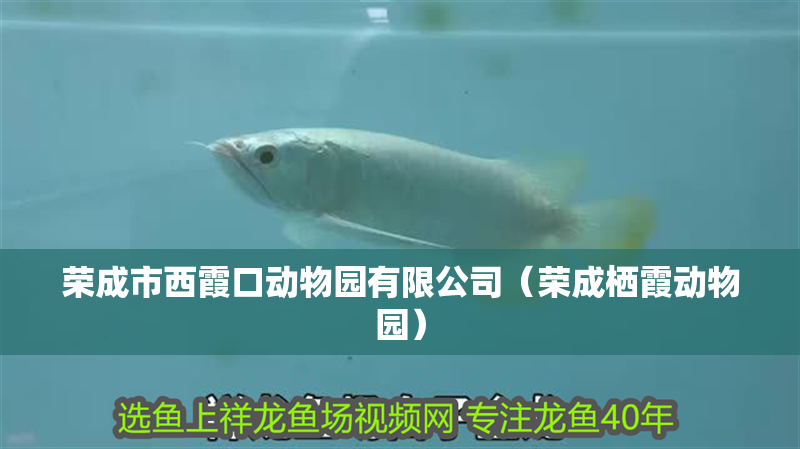 榮成市西霞口動物園有限公司（榮成棲霞動物園）