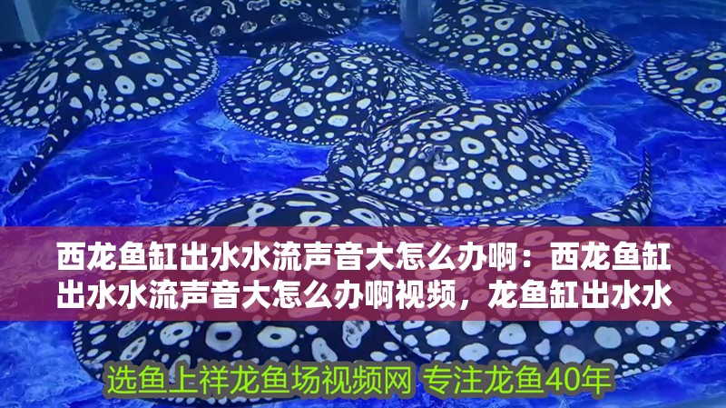 西龍魚缸出水水流聲音大怎么辦啊：西龍魚缸出水水流聲音大怎么辦啊視頻，龍魚缸出水水流聲過大如何解決？附