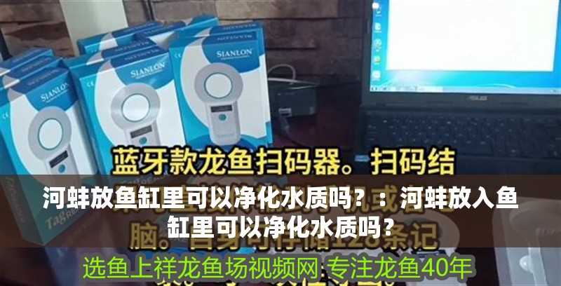 河蚌放魚缸里可以凈化水質嗎？：河蚌放入魚缸里可以凈化水質嗎？