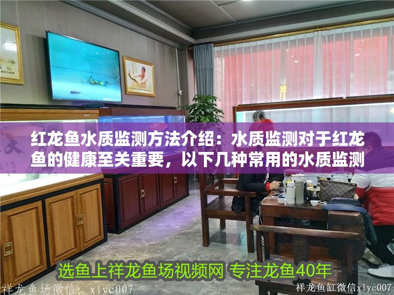 紅龍魚水質監測方法介紹：水質監測對于紅龍魚的健康至關重要，以下幾種常用的水質監測方法