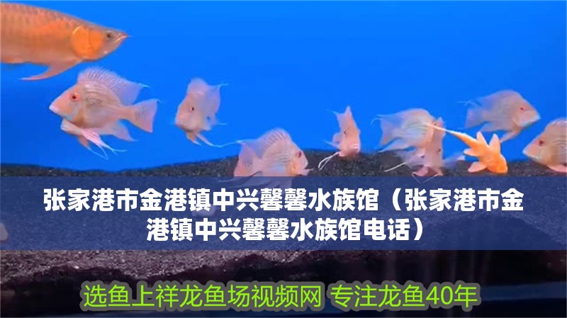 張家港市金港鎮(zhèn)中興馨馨水族館（張家港市金港鎮(zhèn)中興馨馨水族館電話）