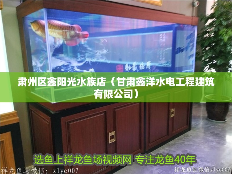 肅州區鑫陽光水族店（甘肅鑫洋水電工程建筑有限公司）