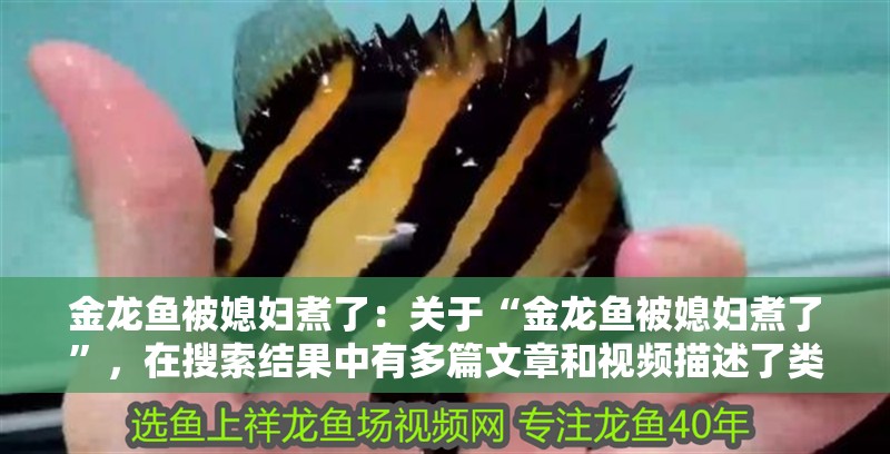 金龍魚被媳婦煮了：關(guān)于“金龍魚被媳婦煮了”，在搜索結(jié)果中有多篇文章和視頻描述了類似的情況