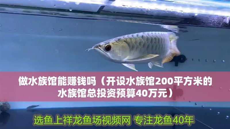 做水族館能賺錢嗎（開設水族館200平方米的水族館總投資預算40萬元）