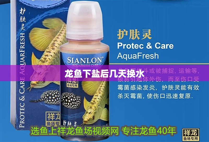 龍魚下鹽后幾天換水