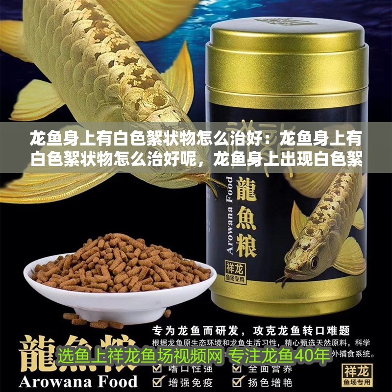 龍魚身上有白色絮狀物怎么治好：龍魚身上有白色絮狀物怎么治好呢，龍魚身上出現(xiàn)白色絮狀物的治愈