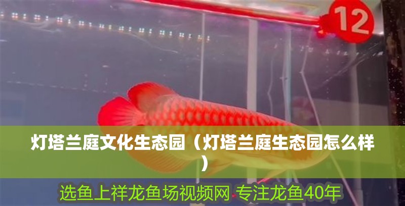 燈塔蘭庭文化生態(tài)園（燈塔蘭庭生態(tài)園怎么樣）