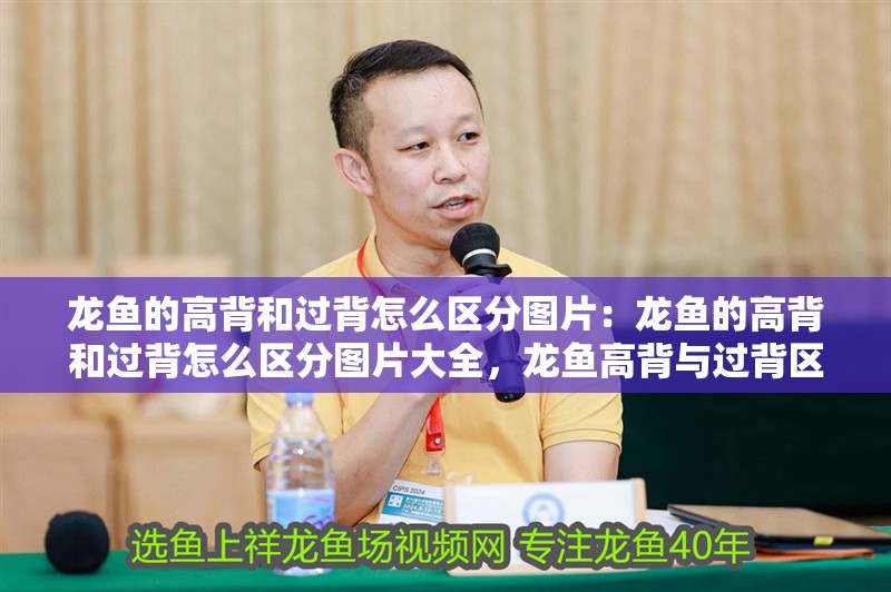 龍魚的高背和過背怎么區分圖片：龍魚的高背和過背怎么區分圖片大全，龍魚高背與過背區分全