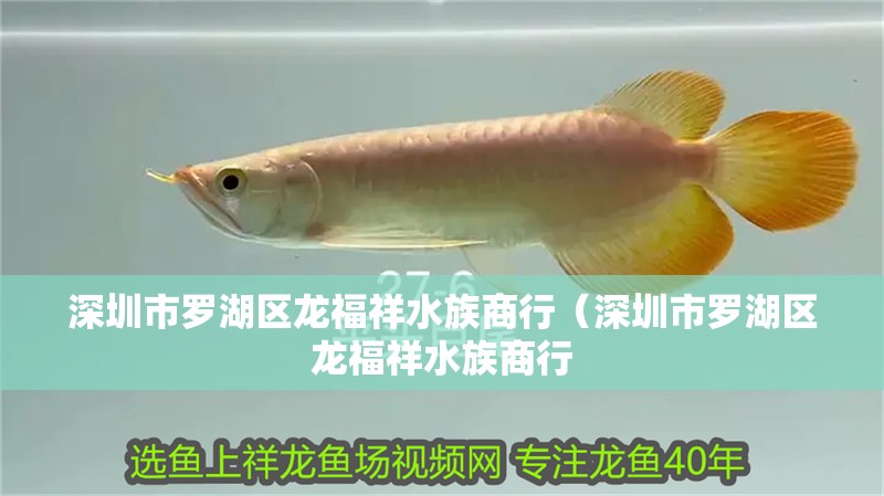 深圳市羅湖區龍福祥水族商行（深圳市羅湖區龍福祥水族商行