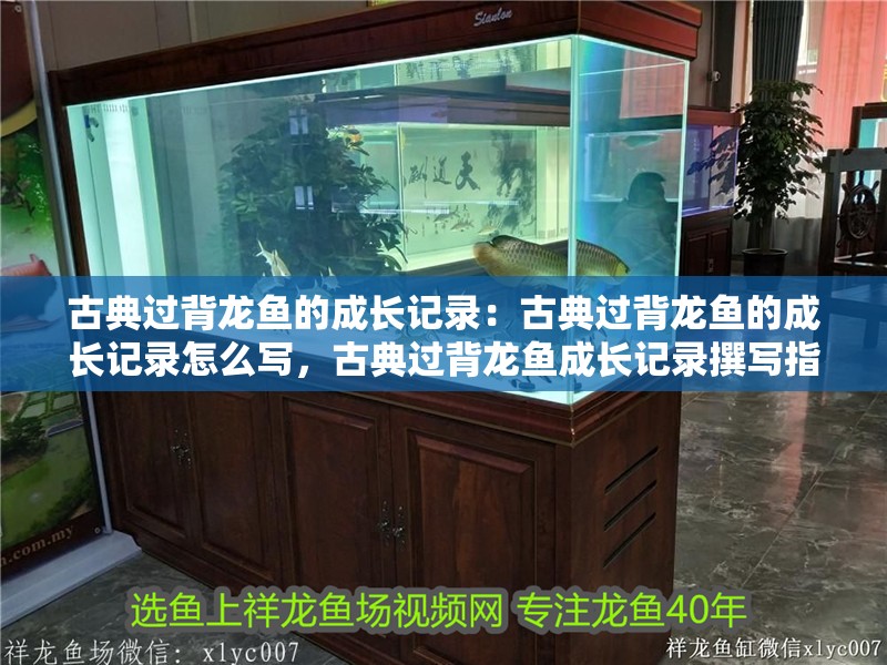 古典過背龍魚的成長記錄：古典過背龍魚的成長記錄怎么寫，古典過背龍魚成長記錄撰寫指南