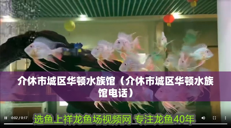 介休市城區(qū)華頓水族館（介休市城區(qū)華頓水族館電話）