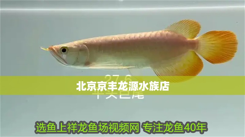 北京京豐龍源水族店
