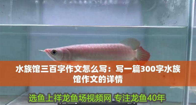 水族館三百字作文怎么寫：寫一篇300字水族館作文的詳情