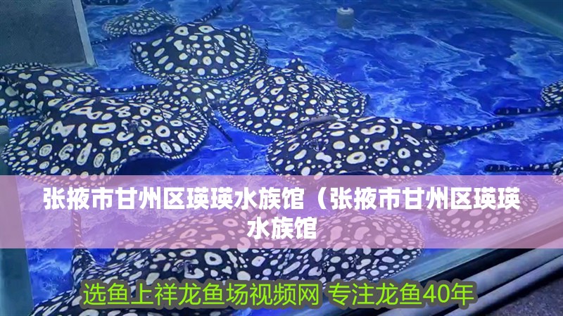 張掖市甘州區(qū)瑛瑛水族館（張掖市甘州區(qū)瑛瑛水族館