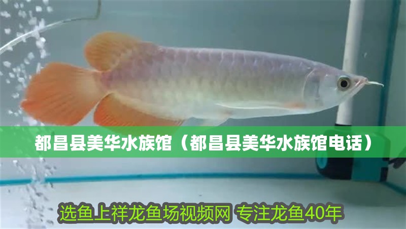 都昌縣美華水族館（都昌縣美華水族館電話）