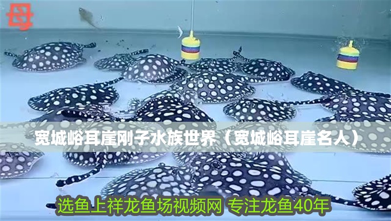 寬城峪耳崖剛子水族世界（寬城峪耳崖名人）