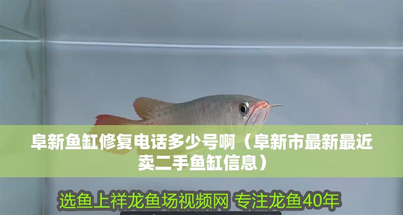 阜新魚缸修復電話多少號?。ǜ沸率凶钚伦罱u二手魚缸信息）