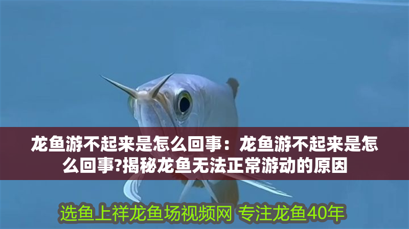龍魚游不起來是怎么回事：龍魚游不起來是怎么回事?揭秘龍魚無法正常游動的原因