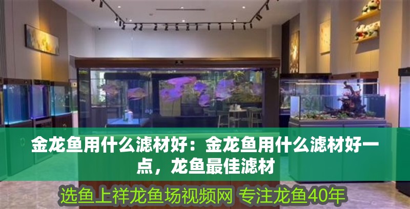 金龍魚用什么濾材好：金龍魚用什么濾材好一點，龍魚最佳濾材