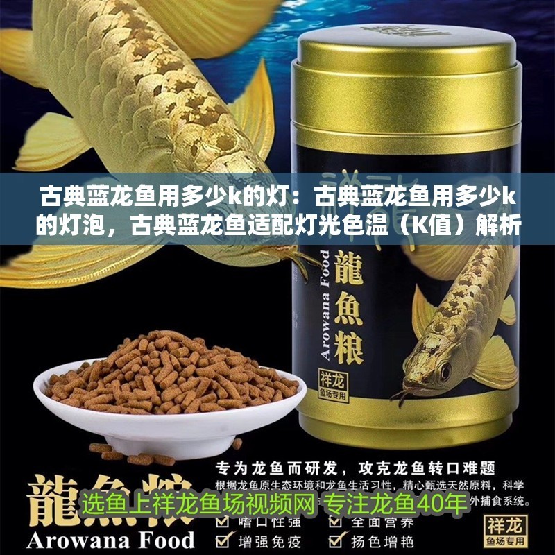 古典藍龍魚用多少k的燈：古典藍龍魚用多少k的燈泡，古典藍龍魚適配燈光色溫（K值）解析