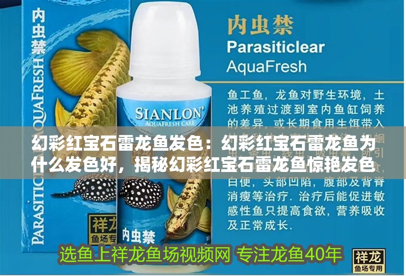 幻彩紅寶石雷龍魚發色：幻彩紅寶石雷龍魚為什么發色好，揭秘幻彩紅寶石雷龍魚驚艷發色的成因