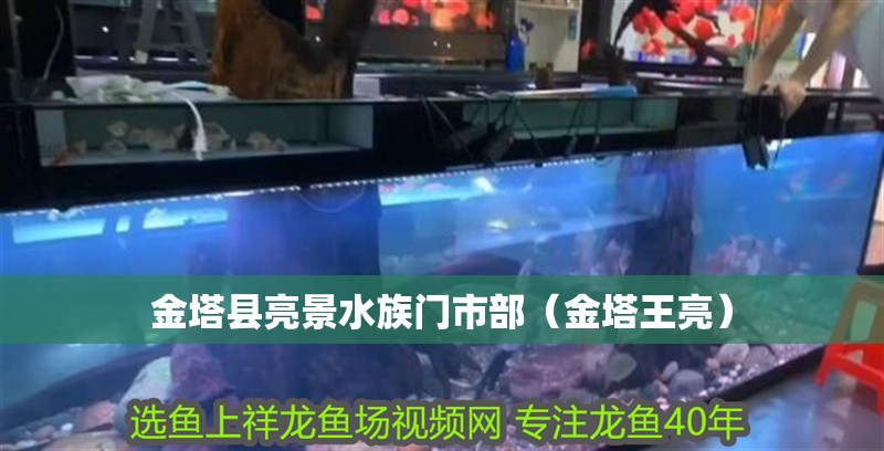 金塔縣亮景水族門市部（金塔王亮）