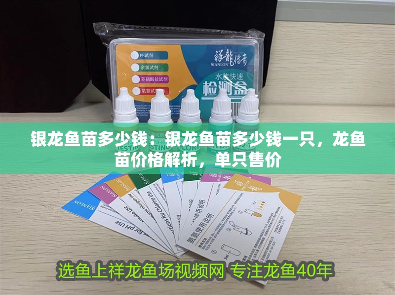 銀龍魚苗多少錢：銀龍魚苗多少錢一只，龍魚苗價格解析，單只售價