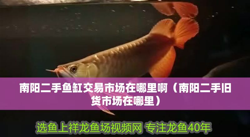 南陽二手魚缸交易市場在哪里啊（南陽二手舊貨市場在哪里）