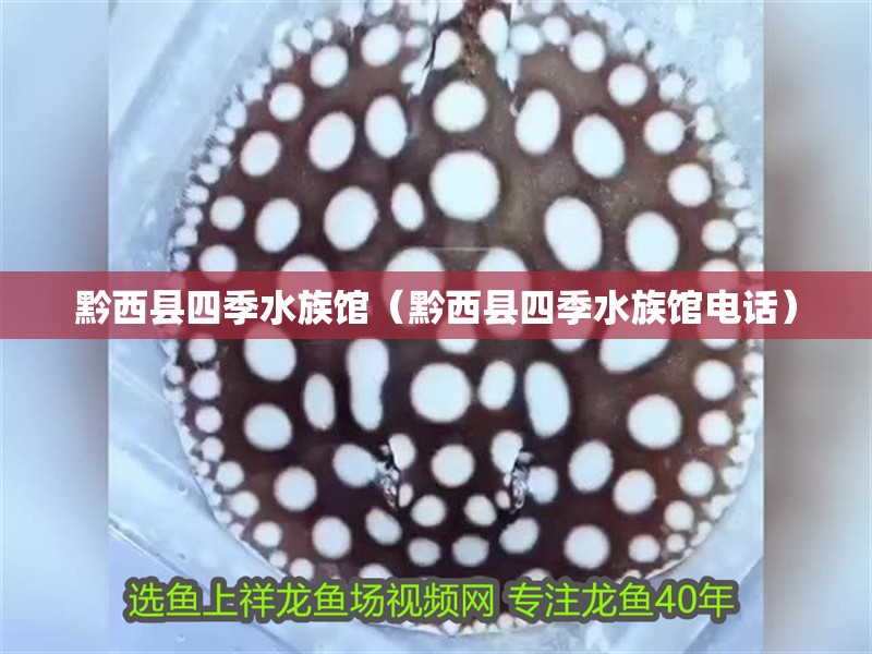 黔西縣四季水族館（黔西縣四季水族館電話）