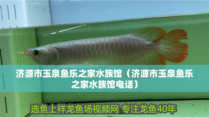 濟源市玉泉魚樂之家水族館（濟源市玉泉魚樂之家水族館電話）