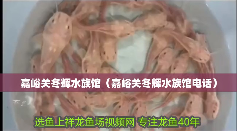 嘉峪關(guān)冬輝水族館(嘉峪關(guān)冬輝水族館電話) 全國水族館企業(yè)名錄 第2張 嘉峪關(guān)冬輝水族館(嘉峪關(guān)冬輝水族館電話) 嘉峪關(guān)冬輝水族館(嘉峪關(guān)冬輝水族館電話) 全國水族館企業(yè)名錄 第2張