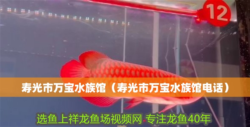 壽光市萬寶水族館(壽光市萬寶水族館電話) 全國水族館企業(yè)名錄 第2張 壽光市萬寶水族館(壽光市萬寶水族館電話) 壽光市萬寶水族館(壽光市萬寶水族館電話) 全國水族館企業(yè)名錄 第2張