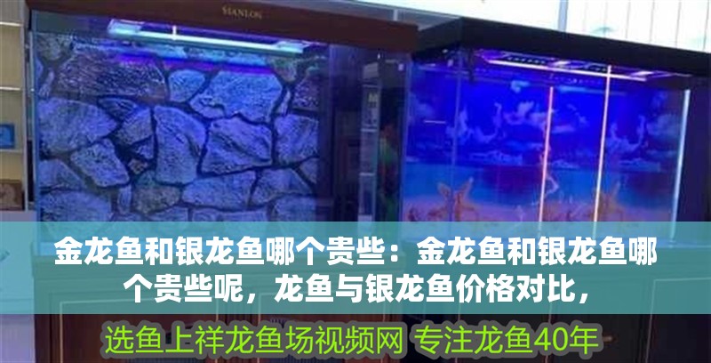 金龍魚和銀龍魚哪個貴些：金龍魚和銀龍魚哪個貴些呢，龍魚與銀龍魚價格對比，