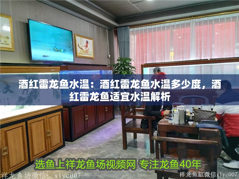 酒紅雷龍魚水溫：酒紅雷龍魚水溫多少度，酒紅雷龍魚適宜水溫解析