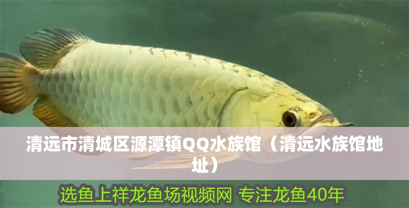 清遠市清城區(qū)源潭鎮(zhèn)QQ水族館（清遠水族館地址）