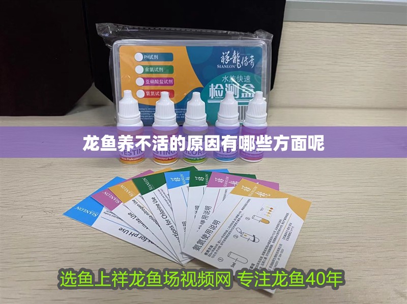 龍魚養不活的原因有哪些方面呢