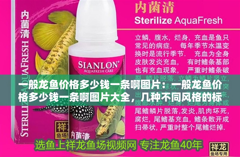 一般龍魚價格多少錢一條啊圖片：一般龍魚價格多少錢一條啊圖片大全，幾種不同風格的標題供你參考，，探秘！一般龍魚價格及海量圖片全覽，速看，一般龍魚多少錢一條，附超全圖片集，解鎖一般龍魚價格謎團，暢賞圖片