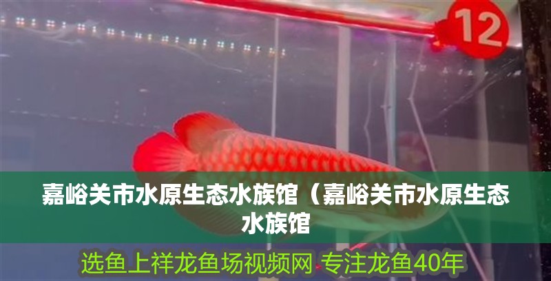 嘉峪關市水原生態水族館（嘉峪關市水原生態水族館